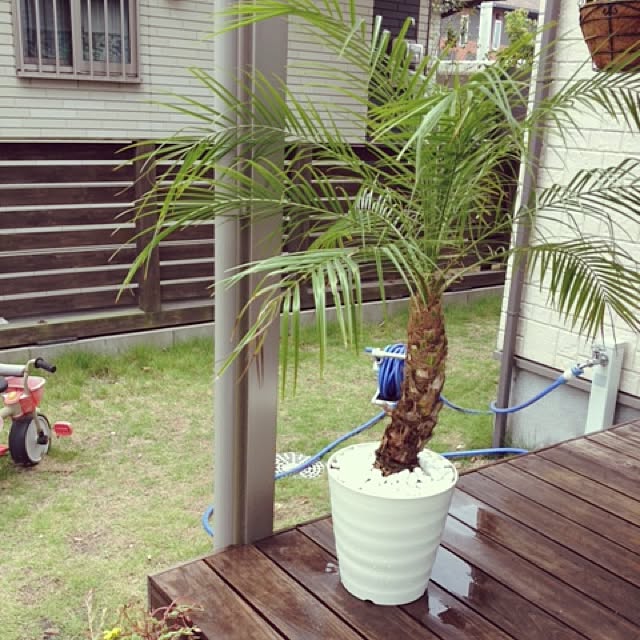 kkkkurubusiさんの実例写真