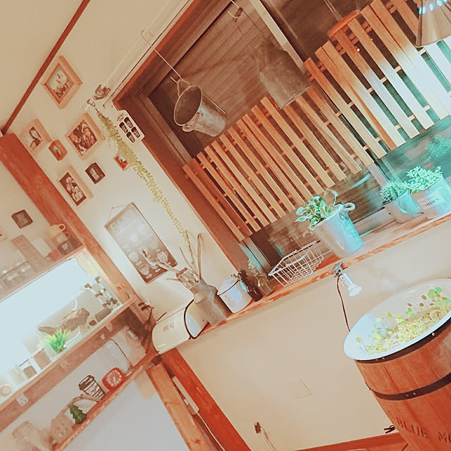papicoさんの実例写真