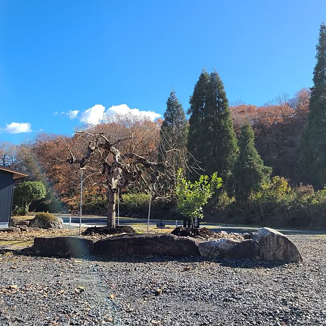 Rubiconさんの部屋