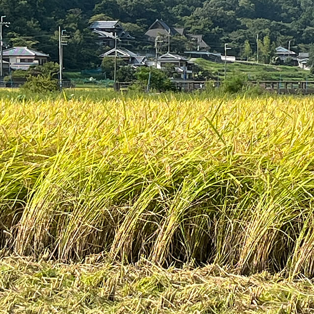 cota2さんの部屋