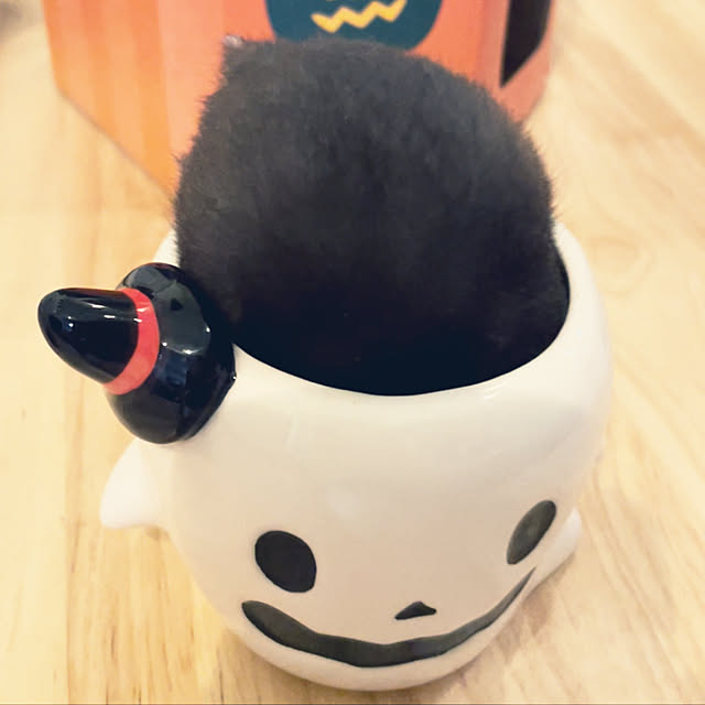 momokasanさんの実例写真