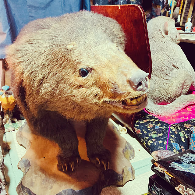 takakuzenさんの実例写真