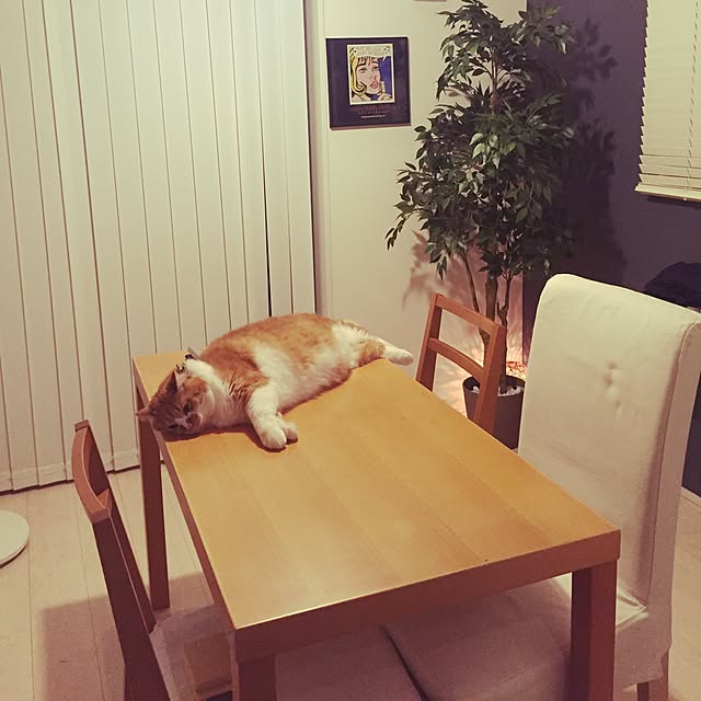 suzumeさんの実例写真