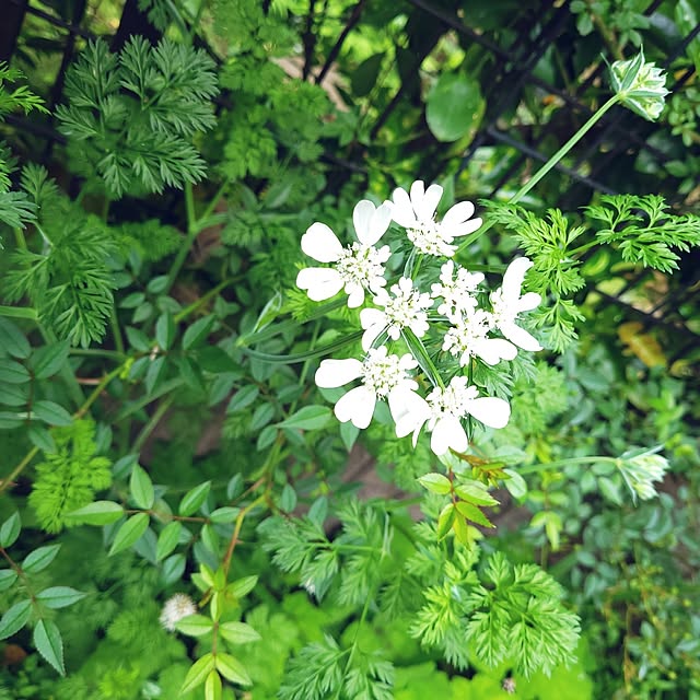 mimi828さんの部屋