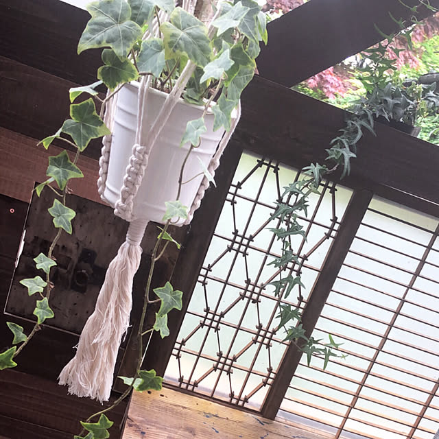 naho81078さんの実例写真