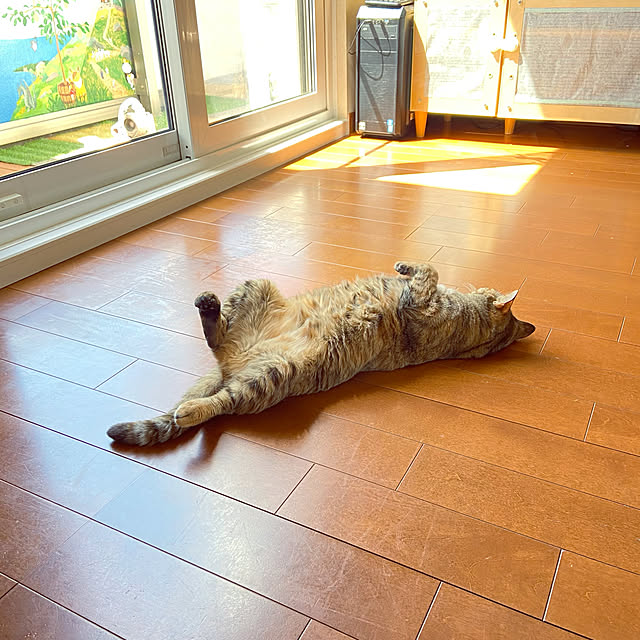 hansho.sさんの実例写真