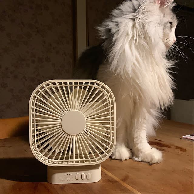 Kikko.さんの実例写真