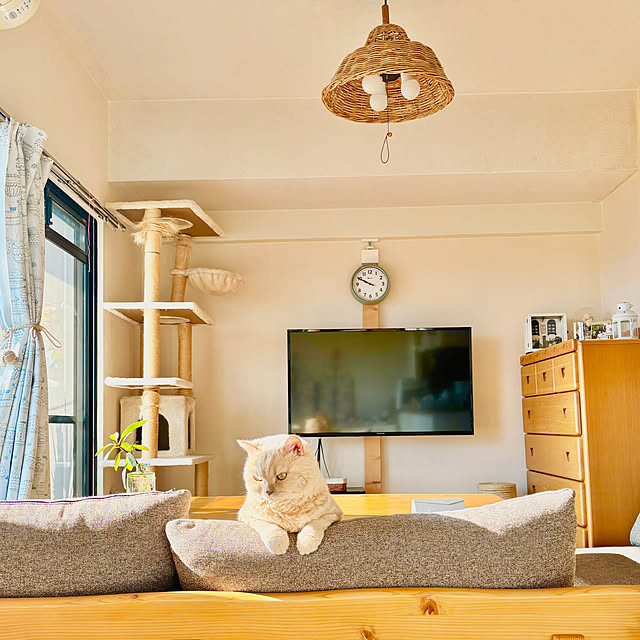 naokoさんの部屋