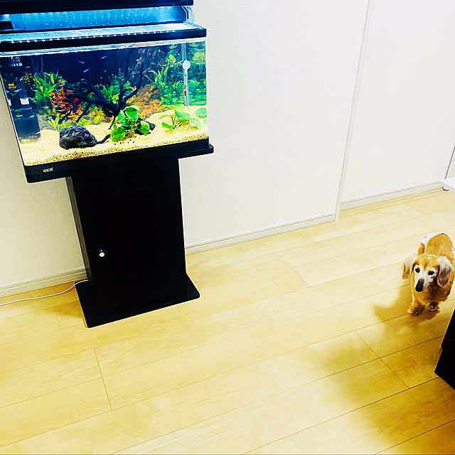 cgmrp1103さんの実例写真