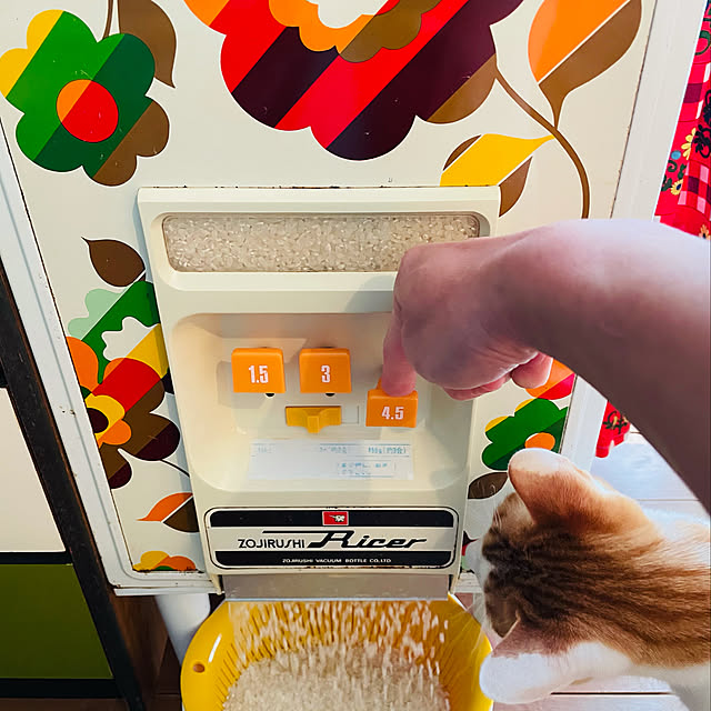 レトロ 米びつのおすすめ商品とおしゃれな実例 | RoomClip レトロ 米びつのおすすめ商品とおしゃれな実例 | RoomClip