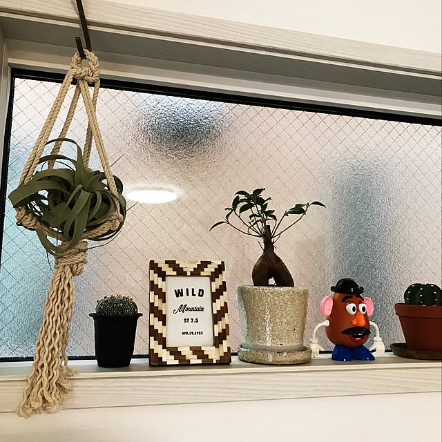 aihanさんの実例写真