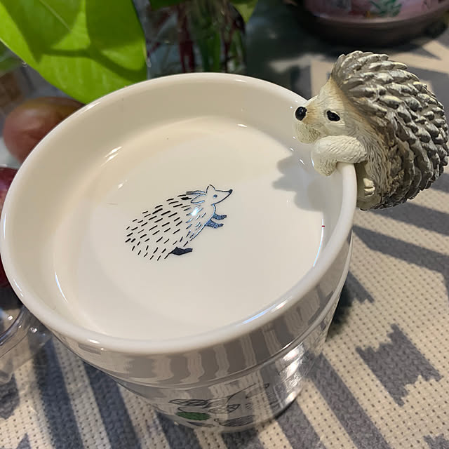 Aqettyさんの部屋