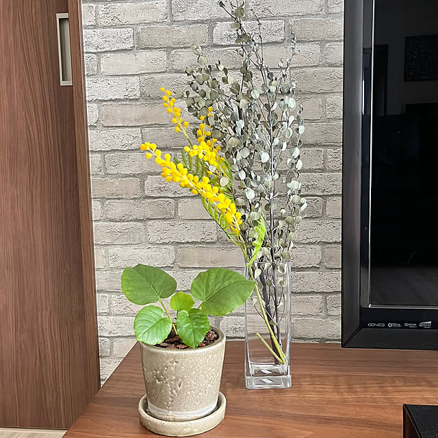 Hannahさんの部屋