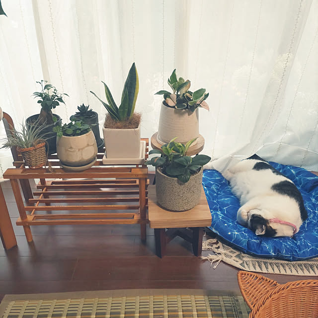 yuuさんの実例写真