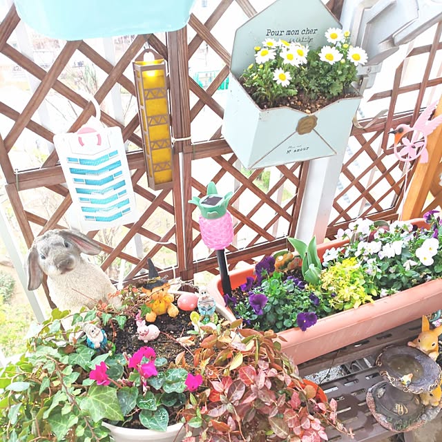 mariaさんの部屋