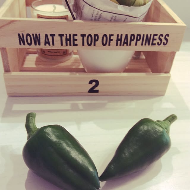 Tommyさんの実例写真