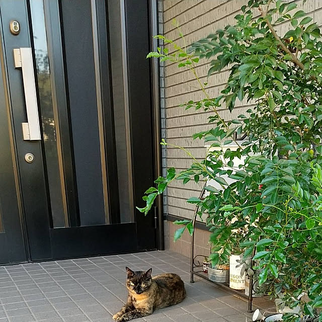 Loveさんの実例写真