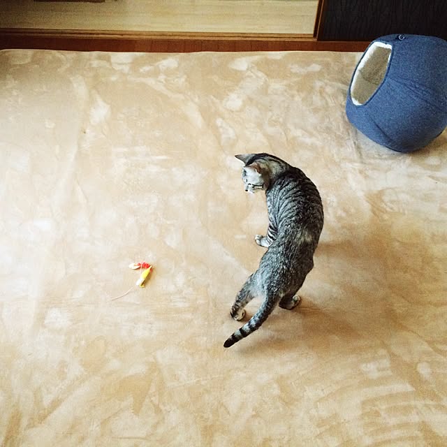 Esunoさんの実例写真