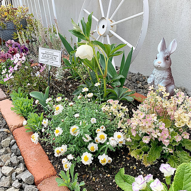 koko_hikaさんの実例写真