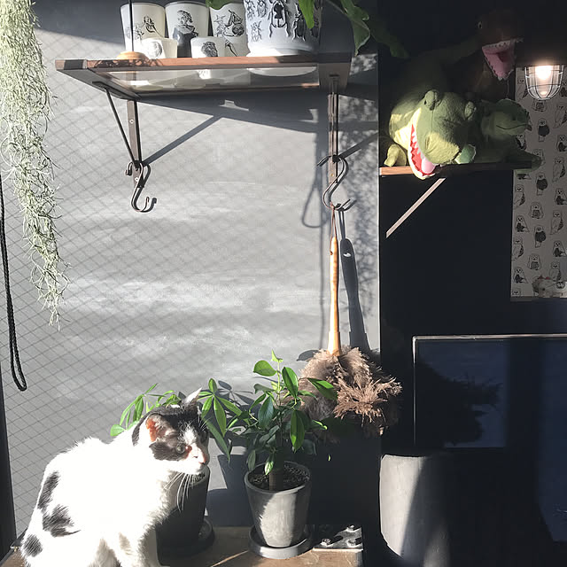 shishaさんの実例写真
