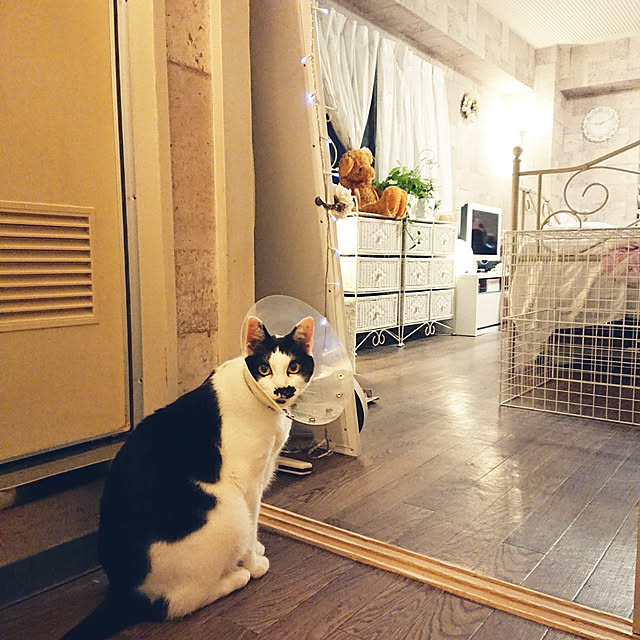 asuminさんの実例写真