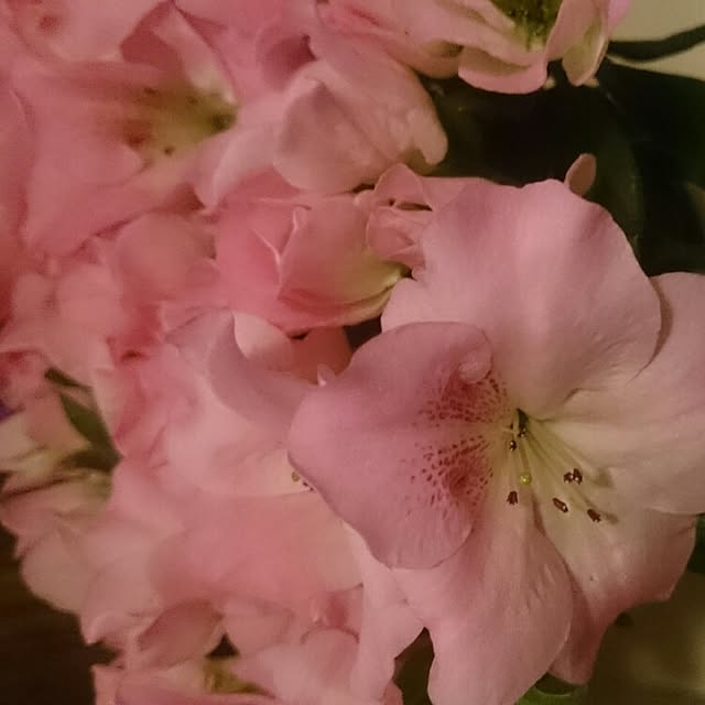 happytoday0905さんの実例写真