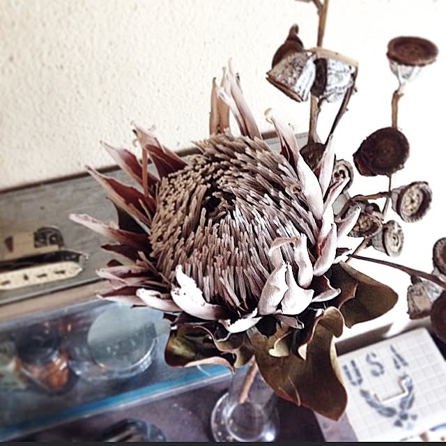 edenさんの実例写真