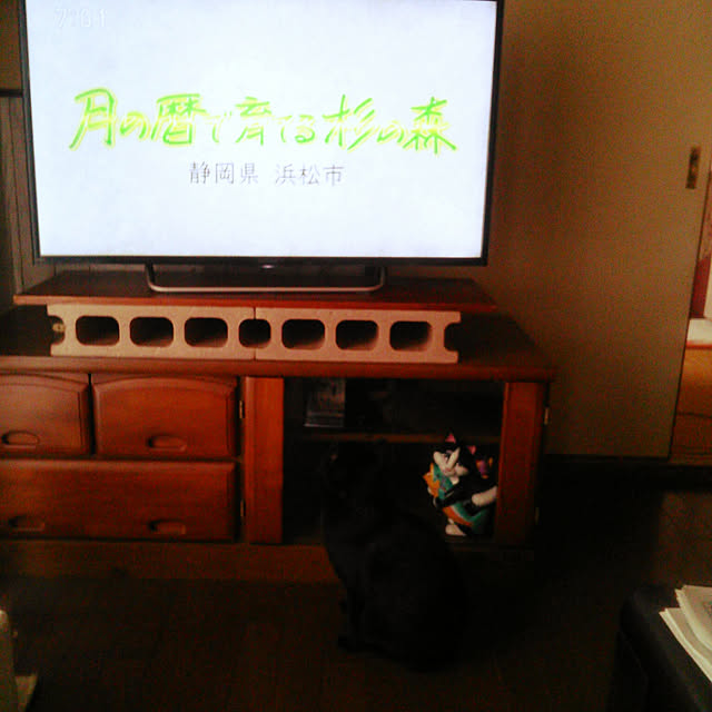 Tomopさんの実例写真