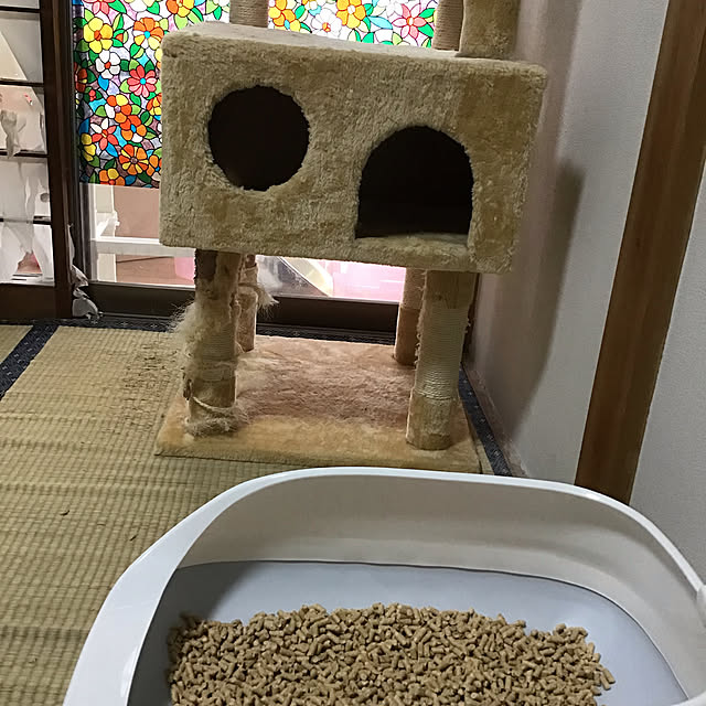 himawari123さんの実例写真