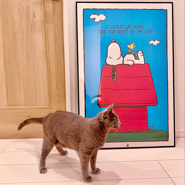 snoopyさんの実例写真