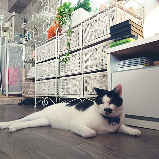 asuminさんの実例写真