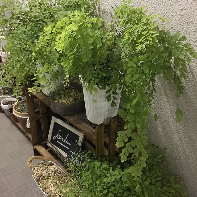 aym0418さんの実例写真