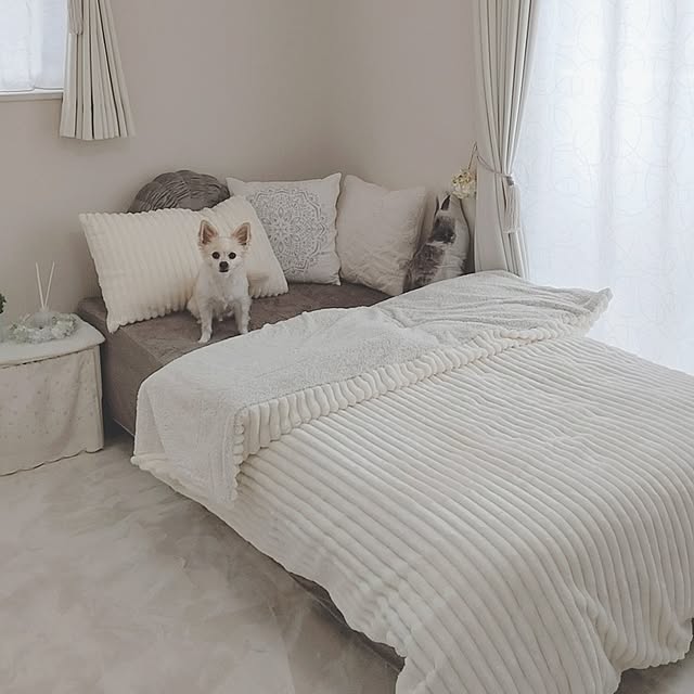 PAOさんの実例写真