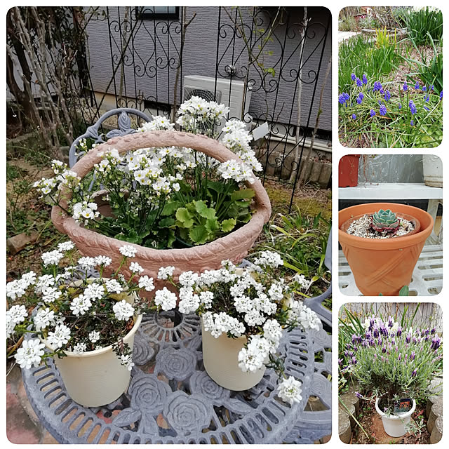 Tomopさんの実例写真