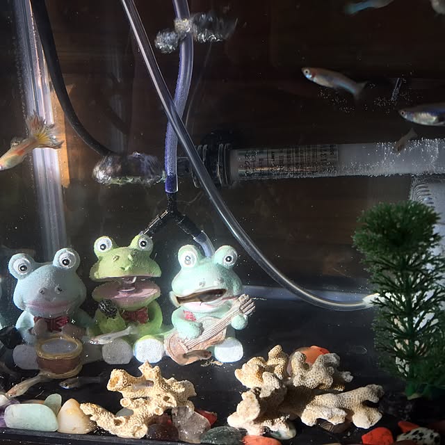 Yurikoさんの実例写真