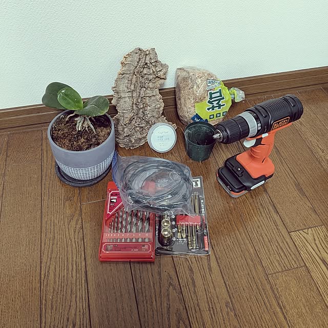 nippopoさんの部屋