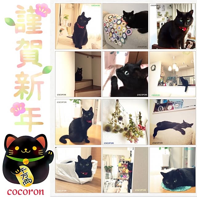cocoronさんの実例写真