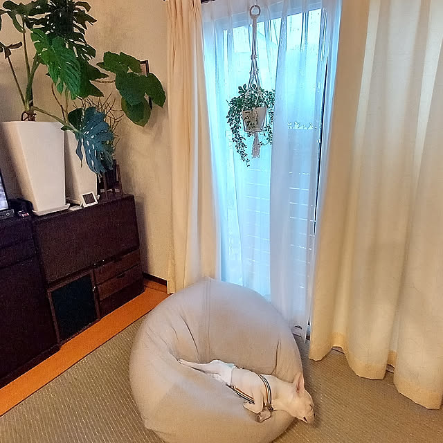 rabuさんの実例写真