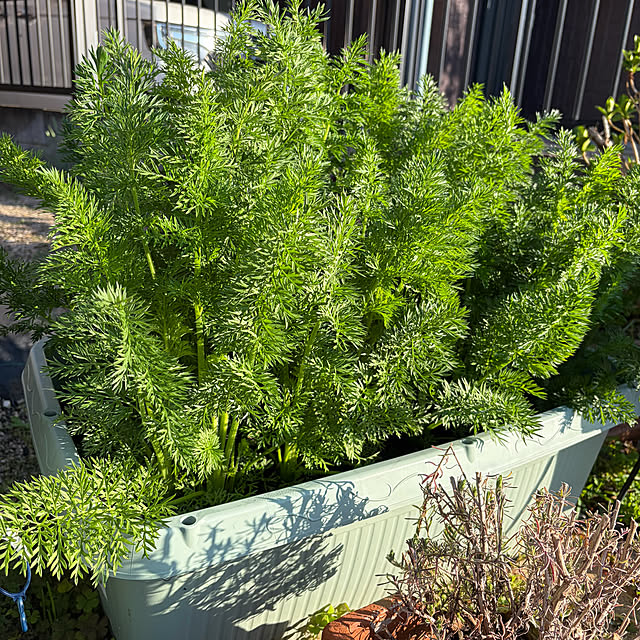 ritsukoさんの部屋