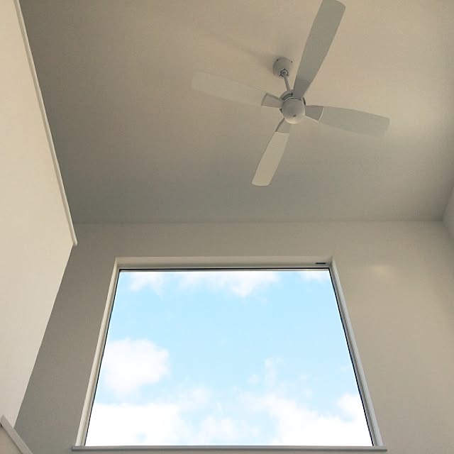 tom_jellyさんの実例写真