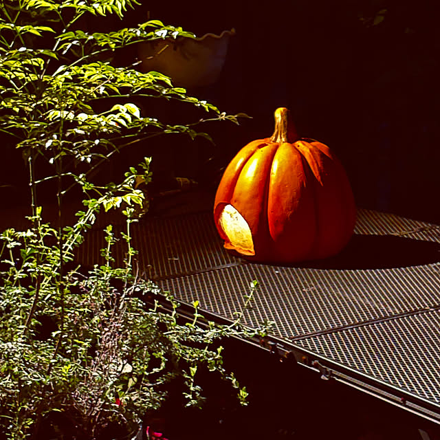 chacoさんの部屋