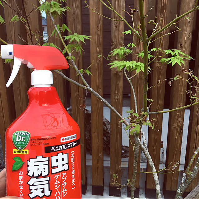 seiさんの実例写真