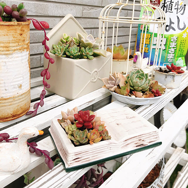 doremiさんの部屋
