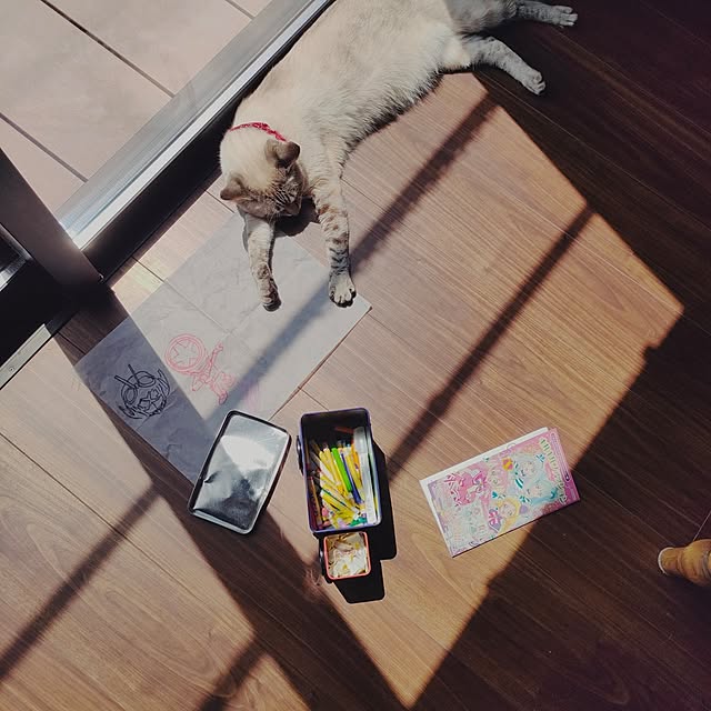 Atelier_tamakiさんの部屋