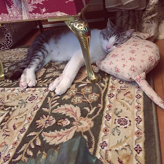 emmyyさんの実例写真