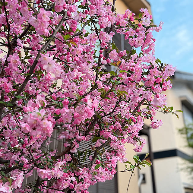 nuruiさんの実例写真