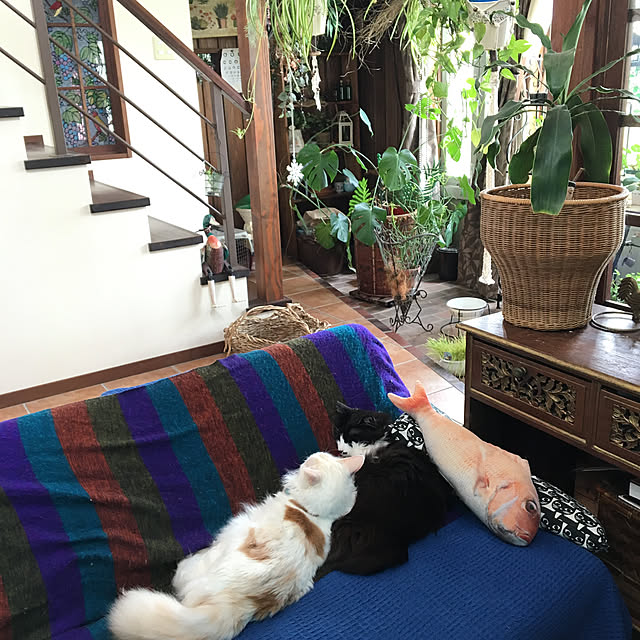 shigimiさんの実例写真