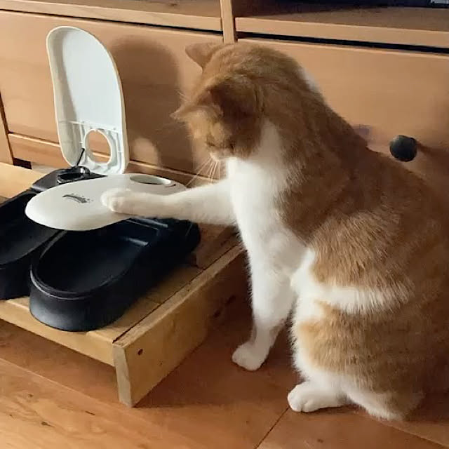 Kobamiさんの実例写真