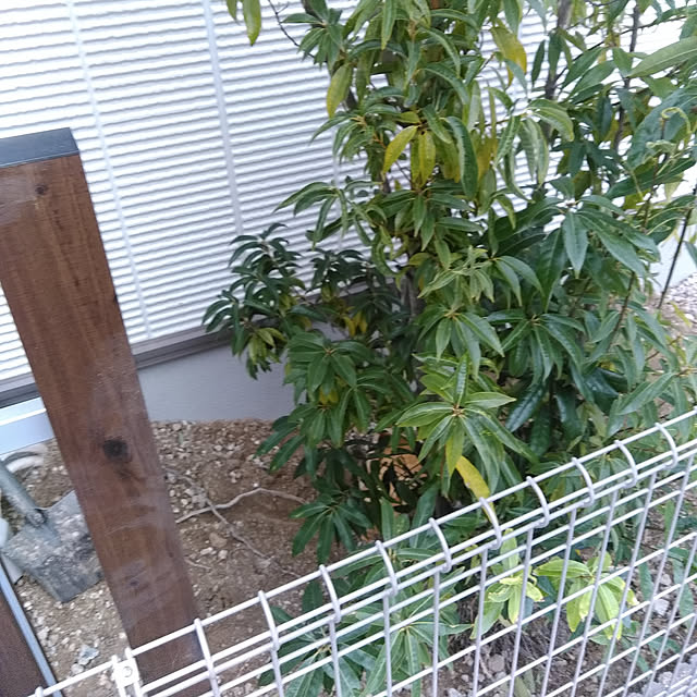 kodaminさんの実例写真