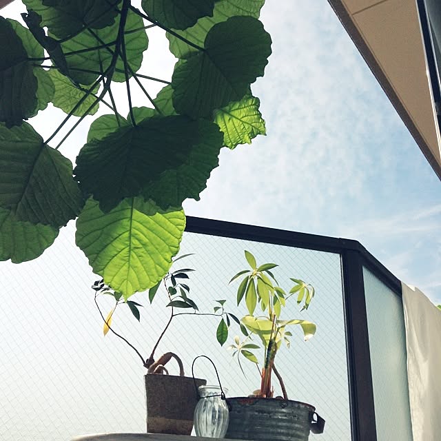 studio-fleurさんの実例写真